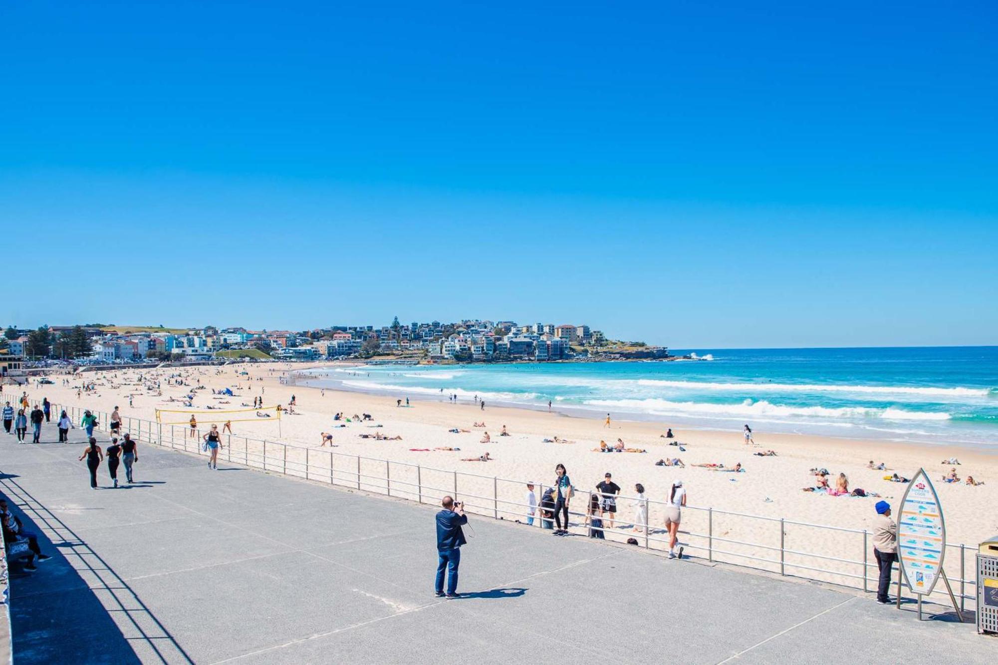 Apartment Convenient Bondi - View And Parking